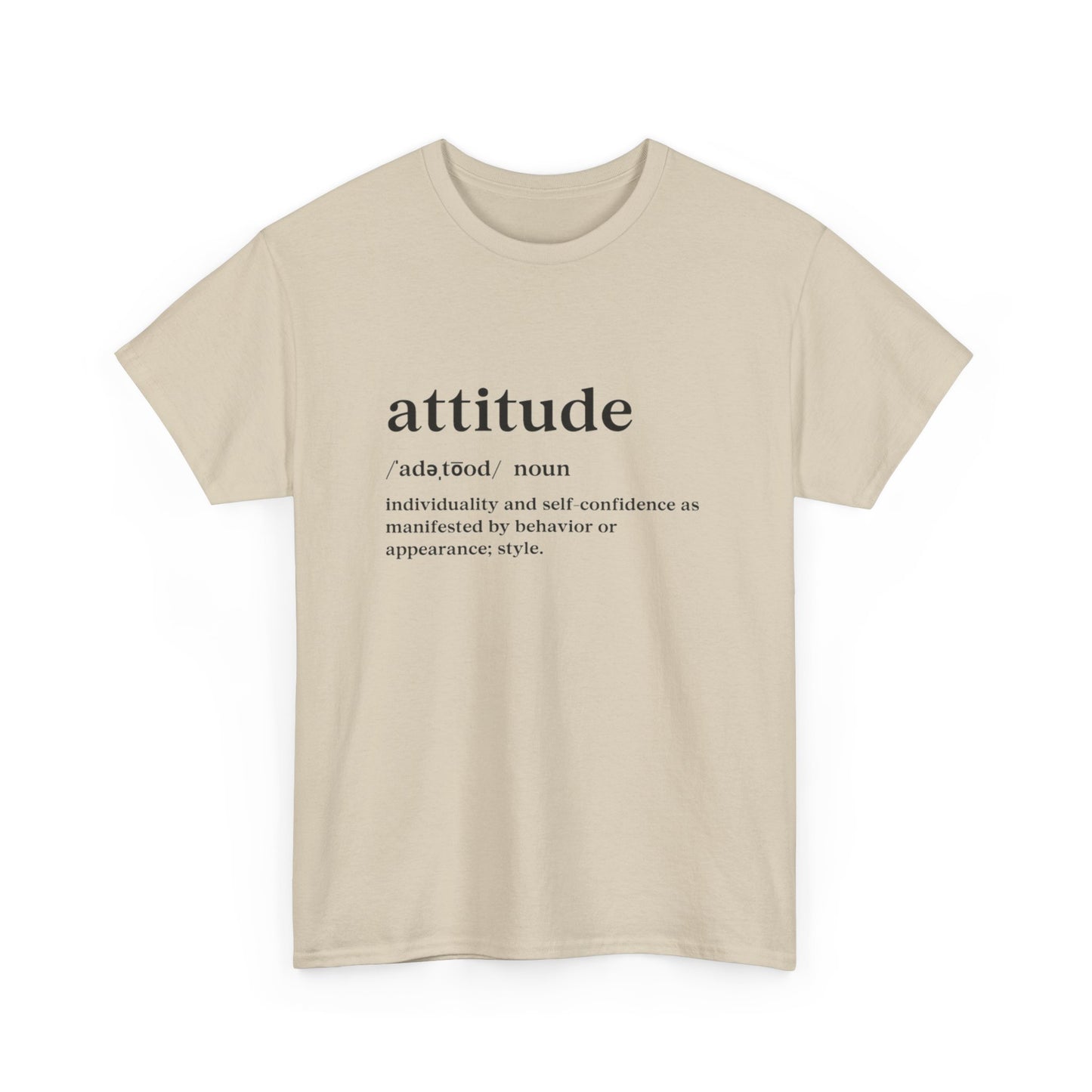 Attitude Definition T-Shirt