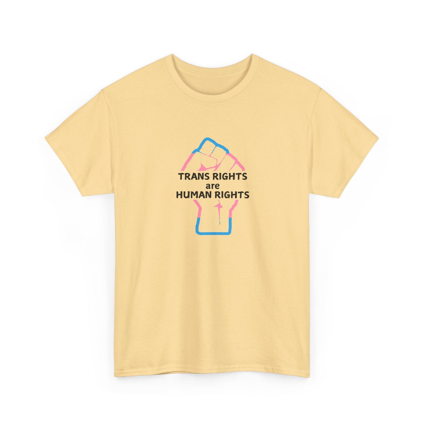Trans Rights Matter Pride Shirt