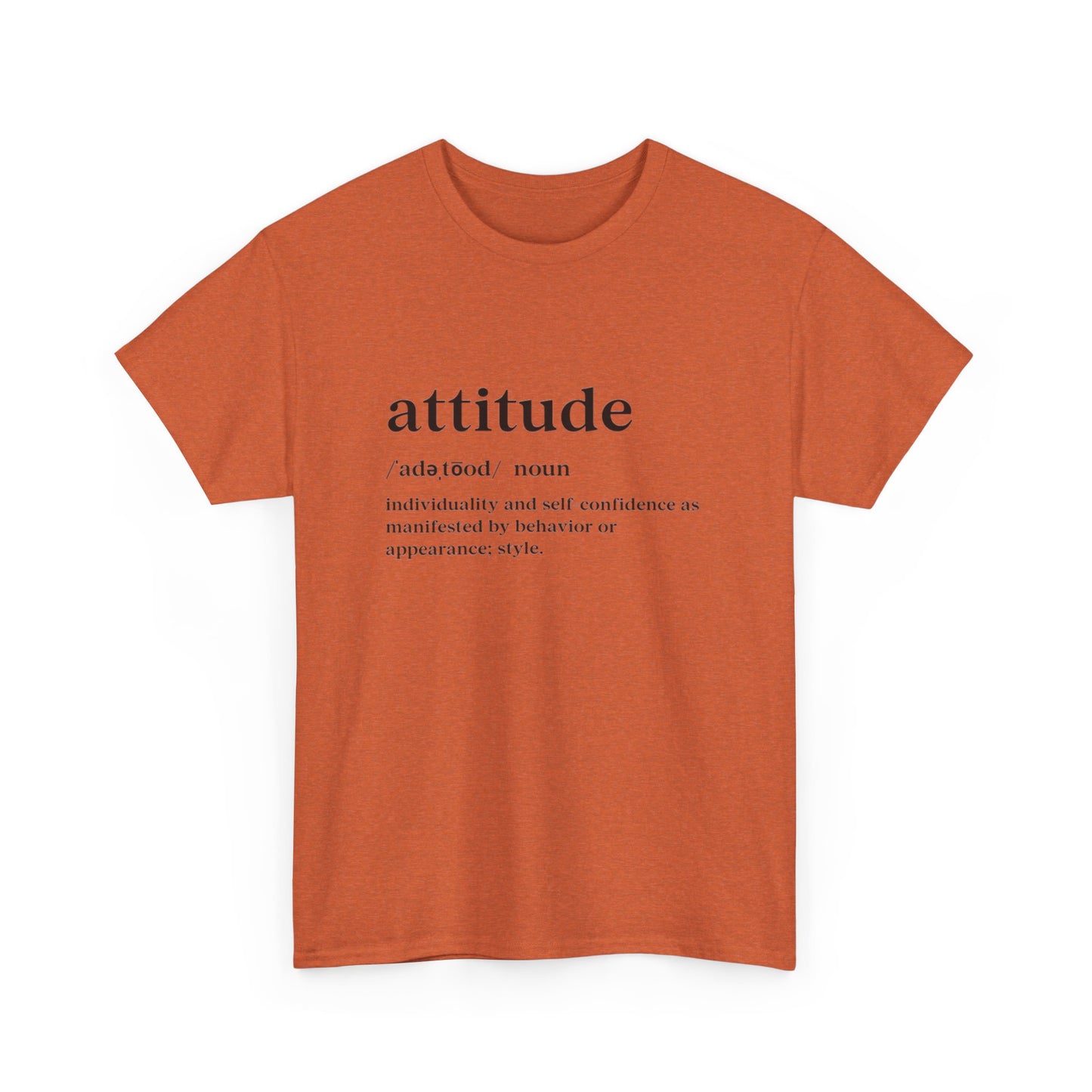 Attitude Definition T-Shirt