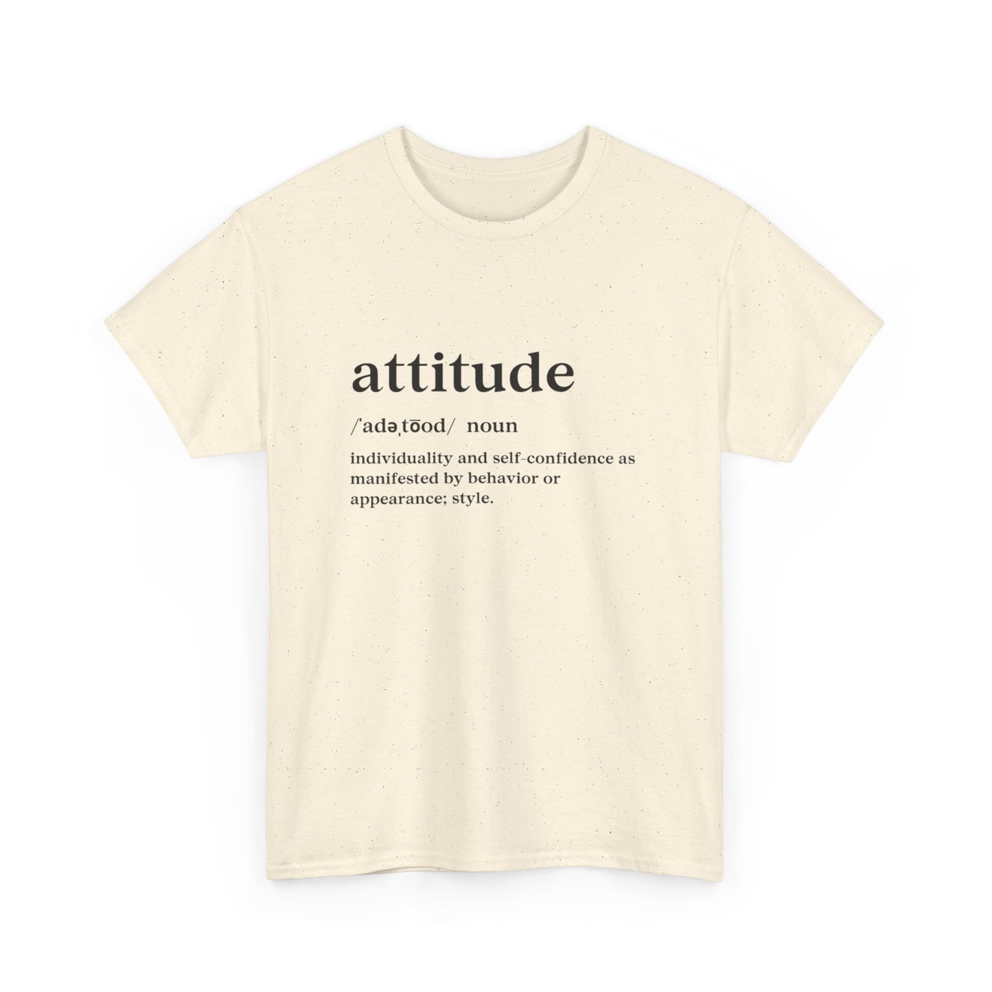 Attitude Definition T-Shirt