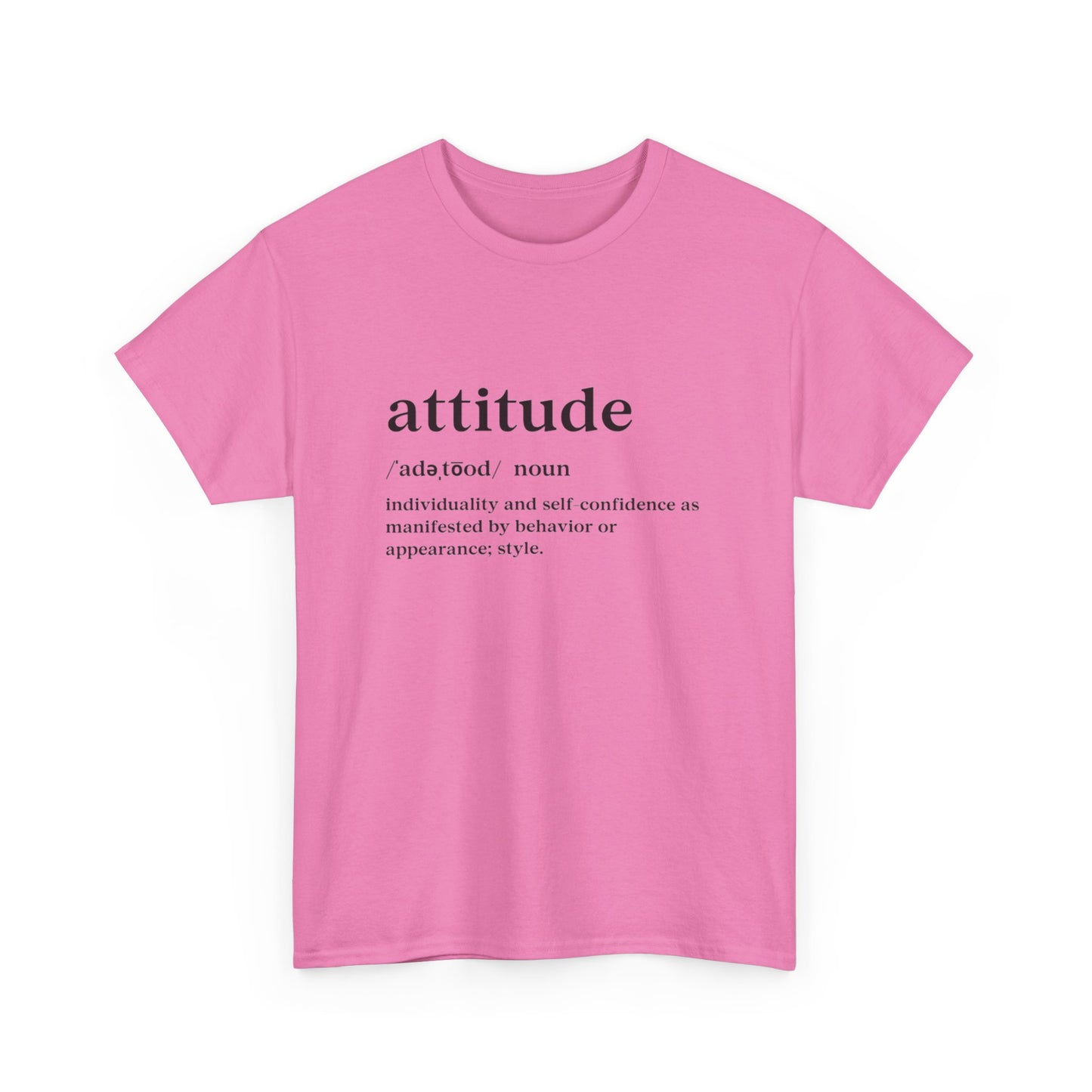 Attitude Definition T-Shirt