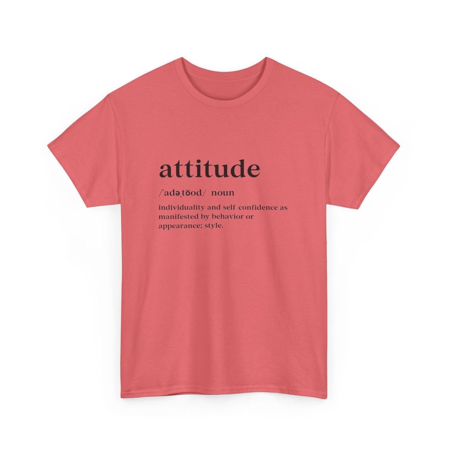 Attitude Definition T-Shirt