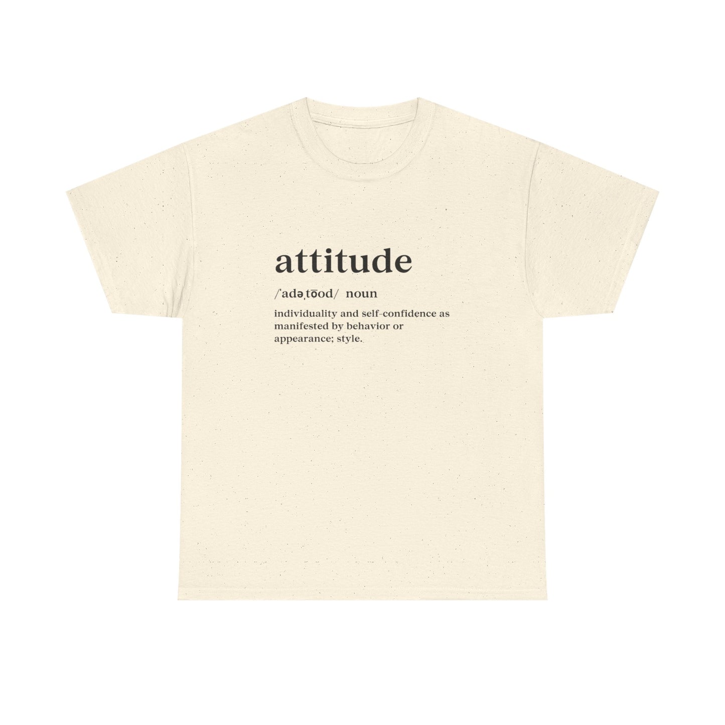 Attitude Definition T-Shirt