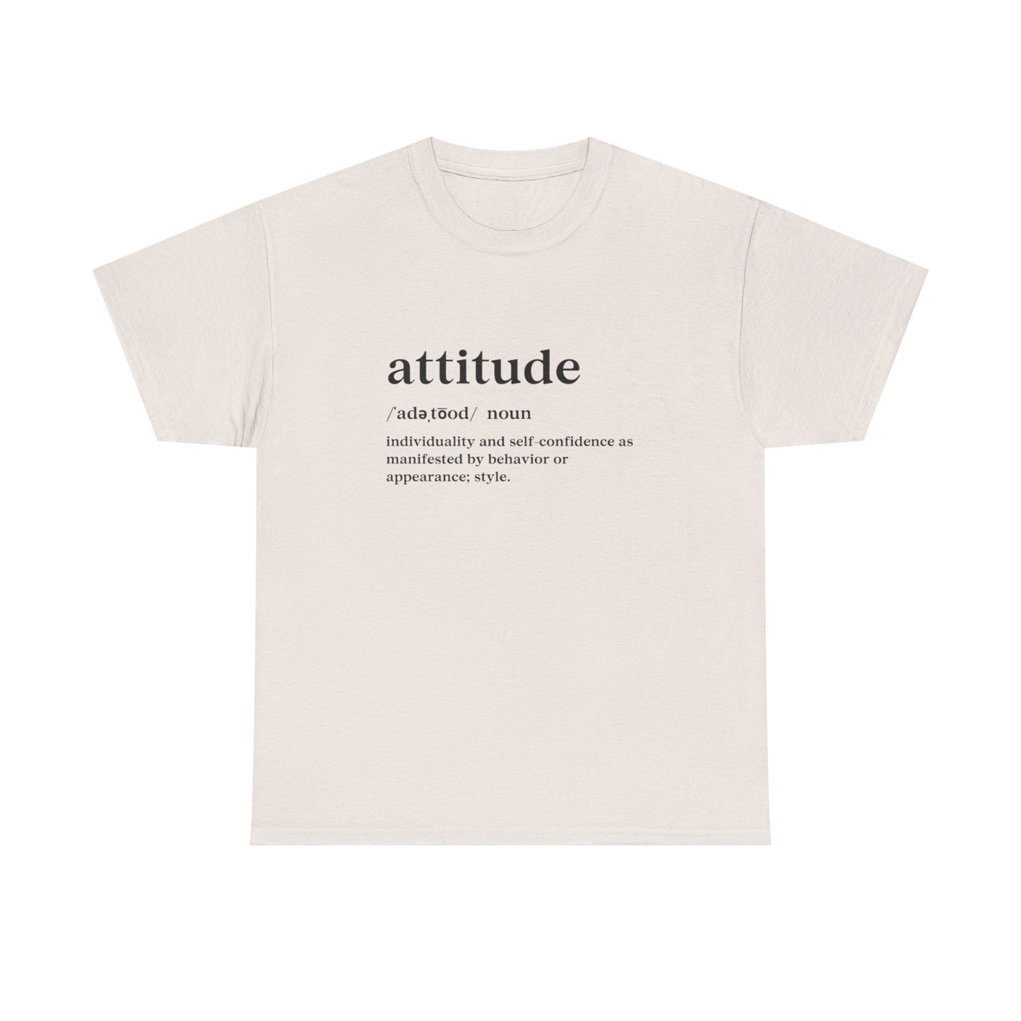 Attitude Definition T-Shirt