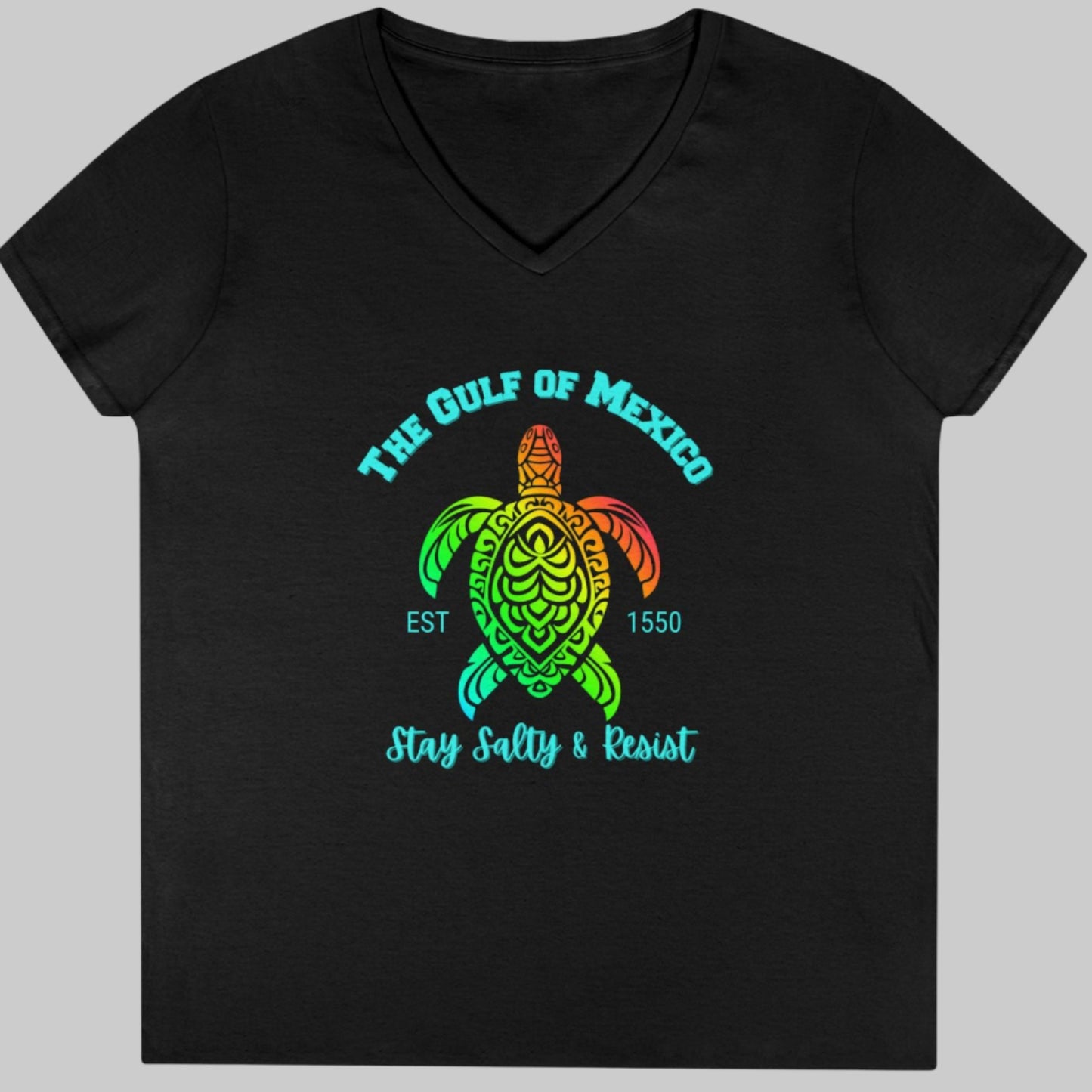 Gulf of Mexico - Ladies V-Neck Tee