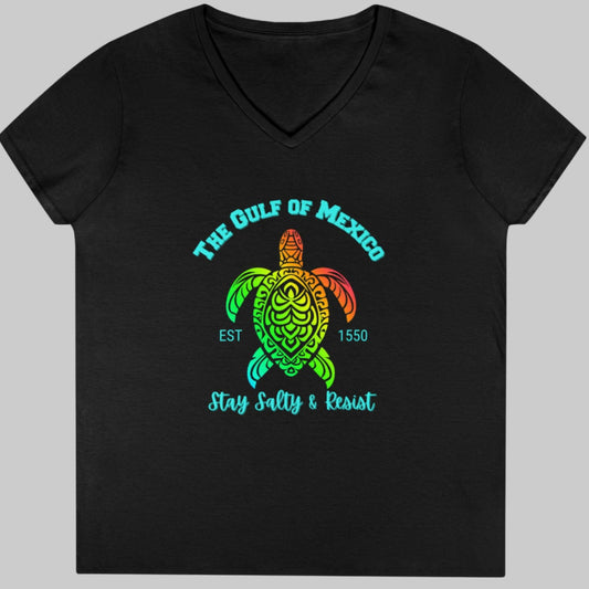 Gulf of Mexico - Ladies V-Neck Tee