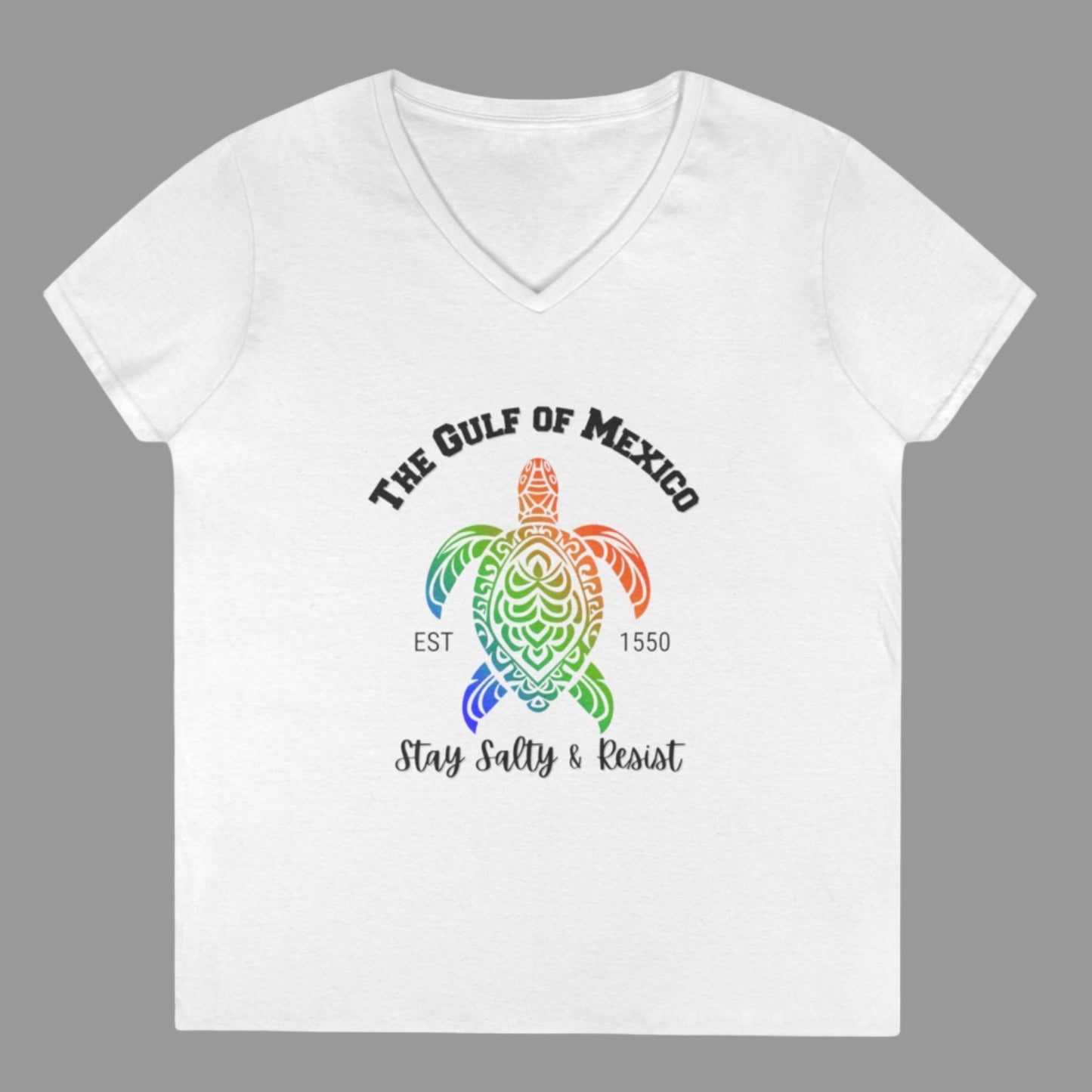 Gulf of Mexico - Ladies V-Neck Tee