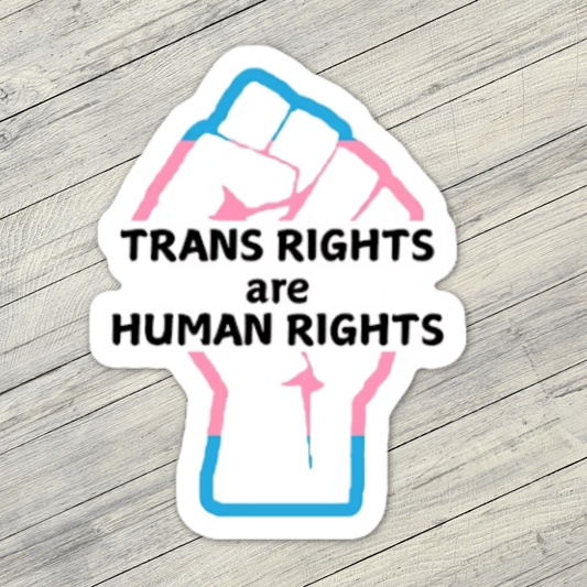 Trans Rights Fist Sticker