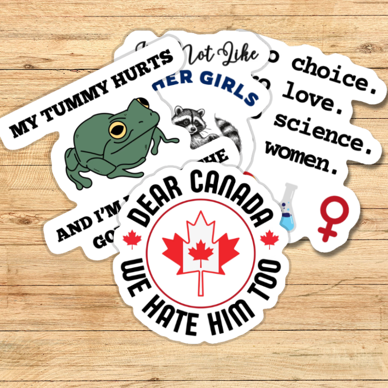 Die-Cut Stickers | Fun Vinyl Decals for Laptops, Water Bottles, Journals