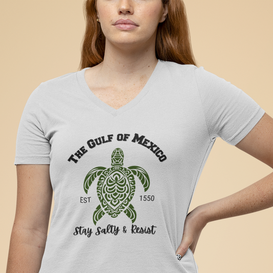 Gulf of Mexico - Ladies V-Neck Tee