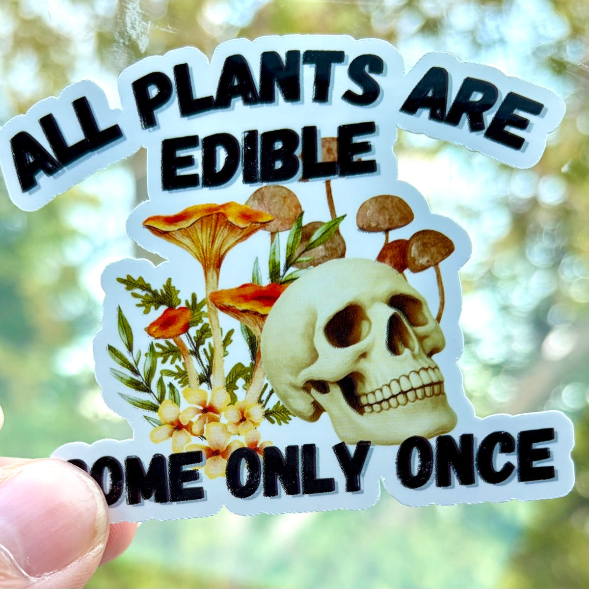 All Plants Are Edible sticker held in hand outdoors